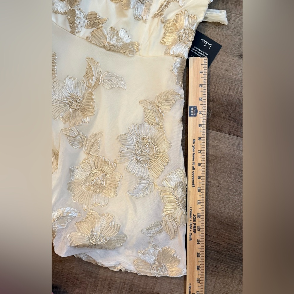 🆕🆕 Lulus Truly Inspiring Ivory Mesh Floral Mini Dress Size XL Prom Wedding Party - Picture 16 of 16